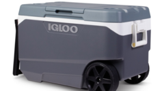 igloo-recalls-coolers-over-finger-amputations-and-injuries