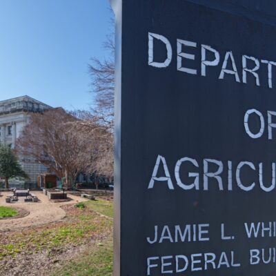 the-usda-fired-staffers-working-on-bird-flu.-now-it’s-trying-to-reverse-course