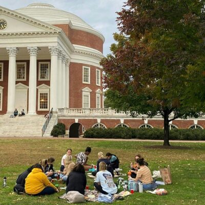 university-of-virginia-to-remove-its-dei-office:-‘voted-for-commonsense’