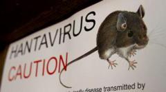 hantavirus:-what-is-disease-that-killed-gene-hackman’s-wife?