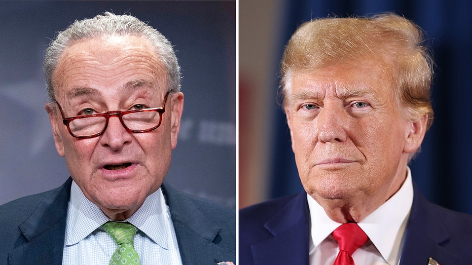 shutdown-averted-after-schumer-caves-and-backs-trump-spending-bill