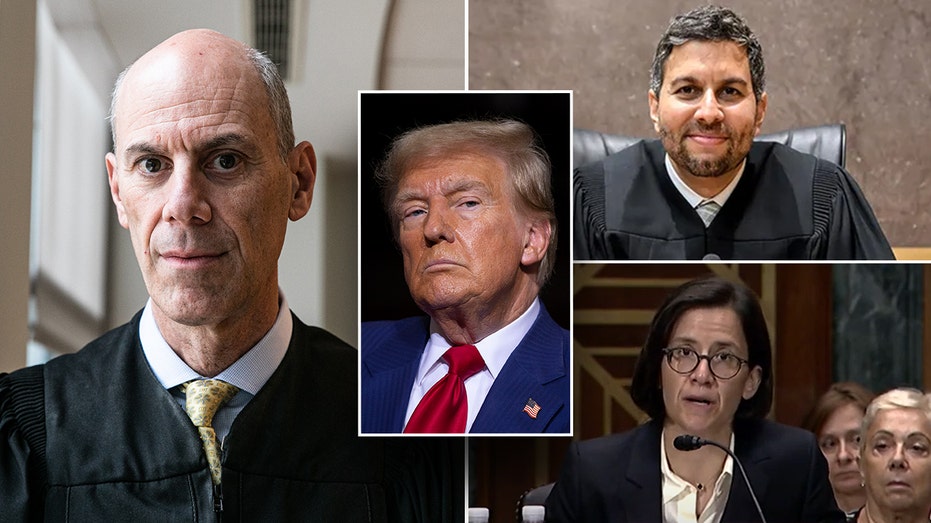 checks-and-balances:-trump,-supporters-seek-to-push-back-against-‘activist’-judges