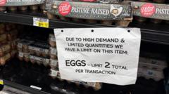 us-to-import-eggs-from-turkey-and-south-korea-to-ease-prices